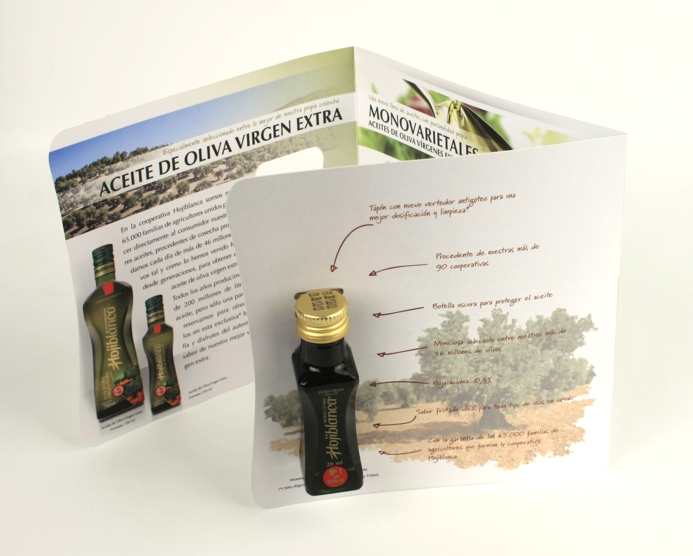 Diseño de folleto con miniatura promocional
