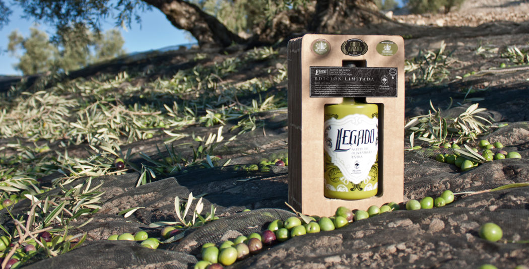 Legado branding y packaging para aceite de oliva