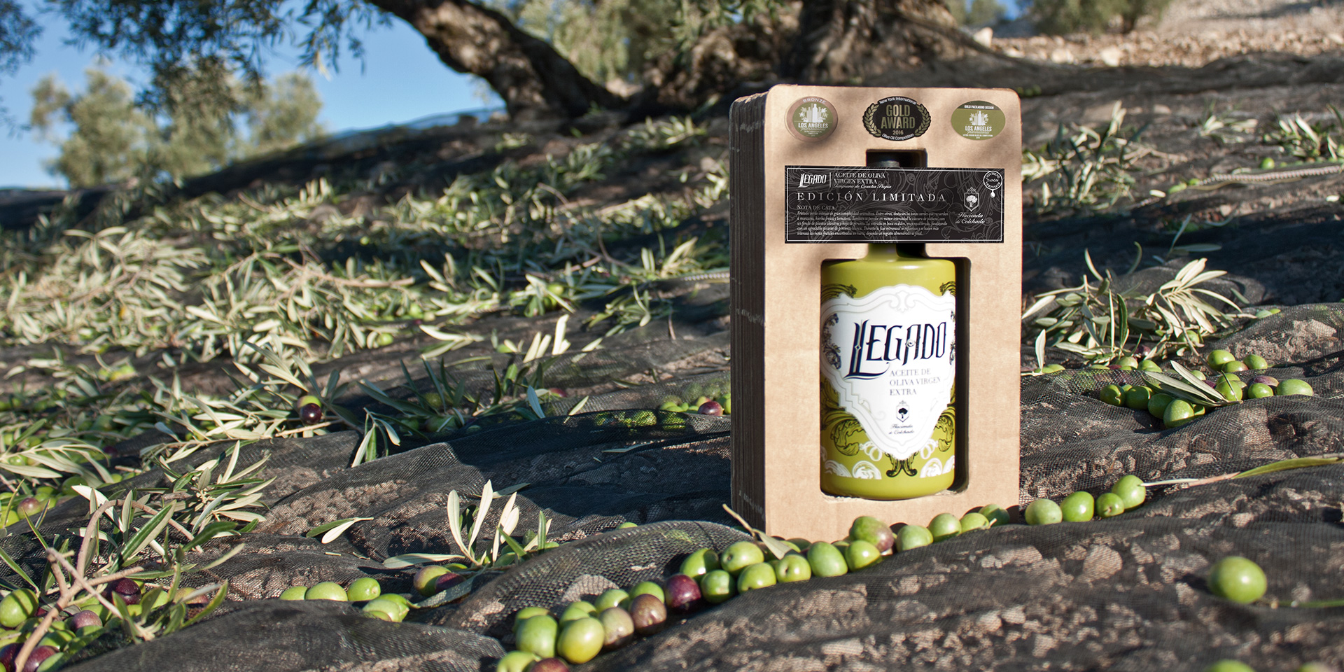 Legado branding y packaging para aceite de oliva