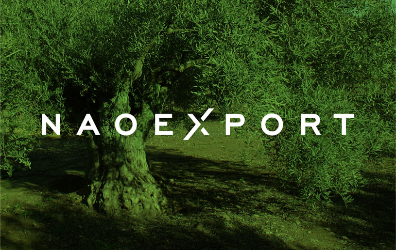 Branding NAO EXPORT, diseño de logotipo