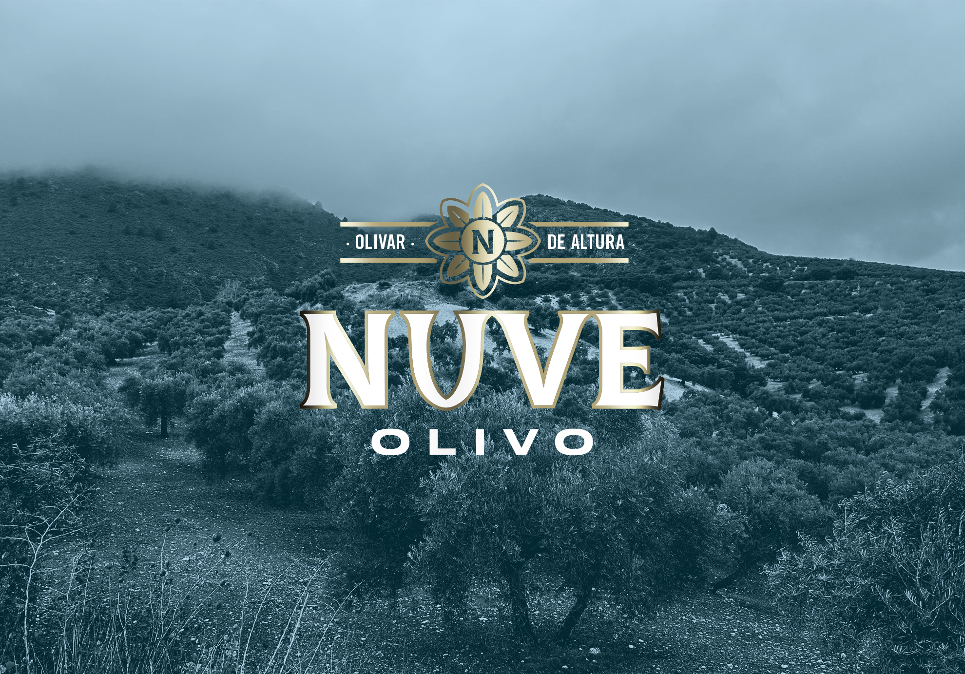 Nuve-olivo-diseño-de-etiqueta-aceite-oliva