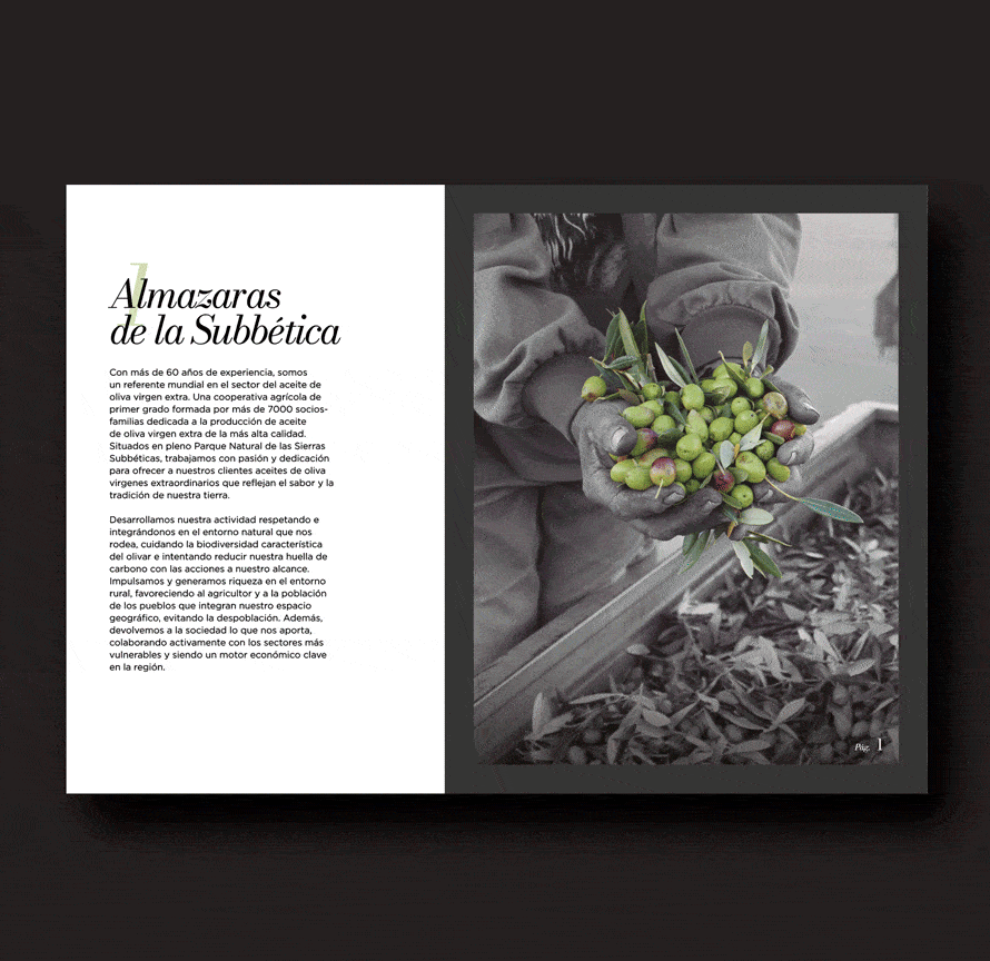 Diseño catalogo almazaras