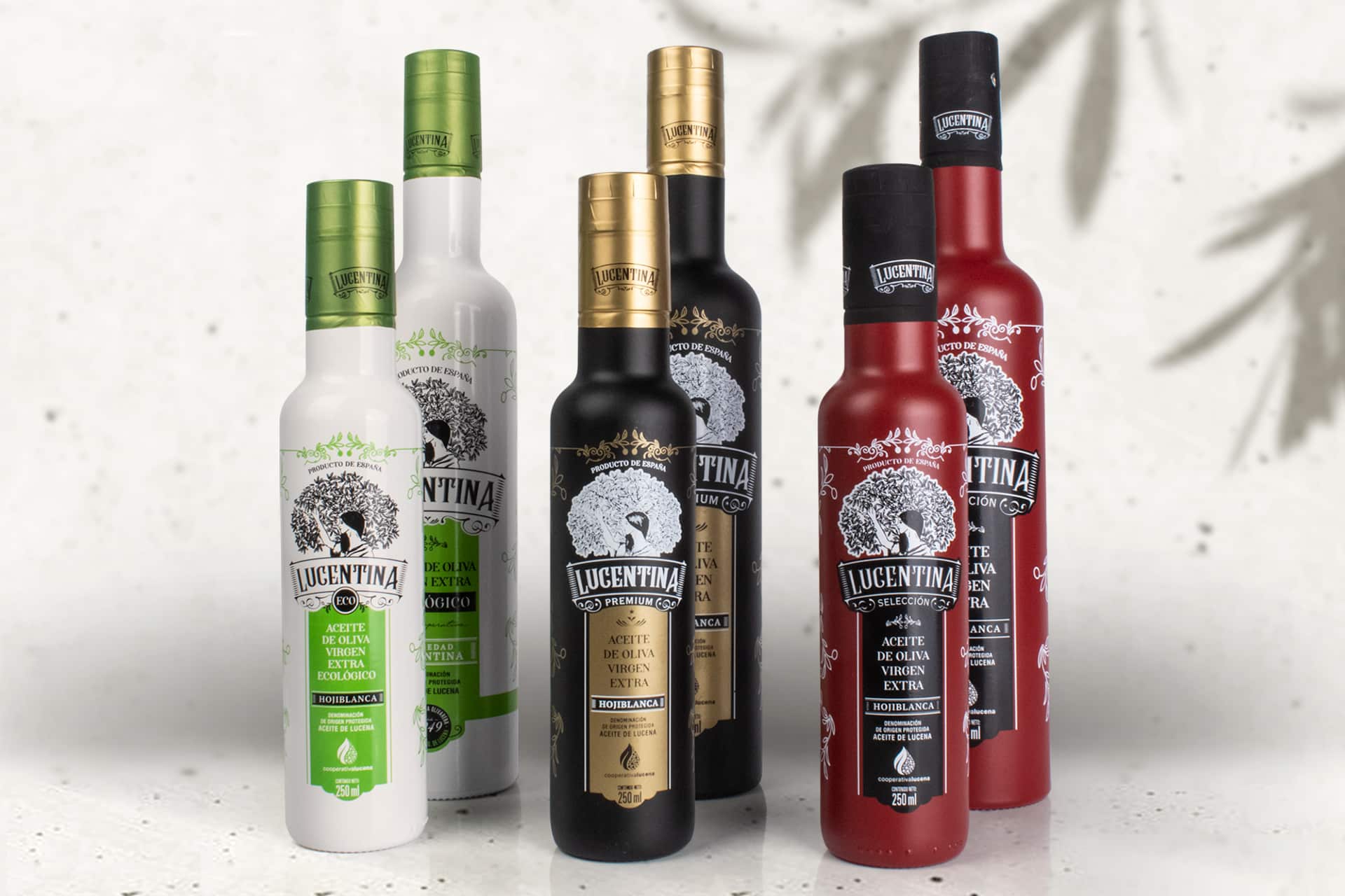 Diseño de branding y packaging para aceite cordoba. Diseñadores de branding y packaging Cordoba