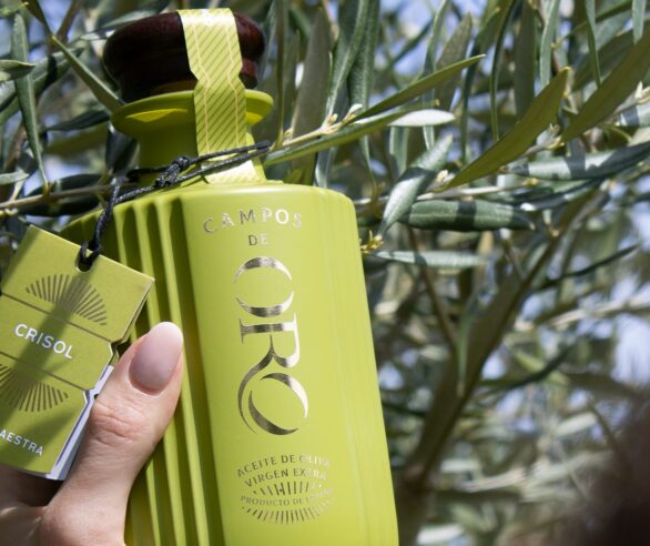 Branding Campos de Oro