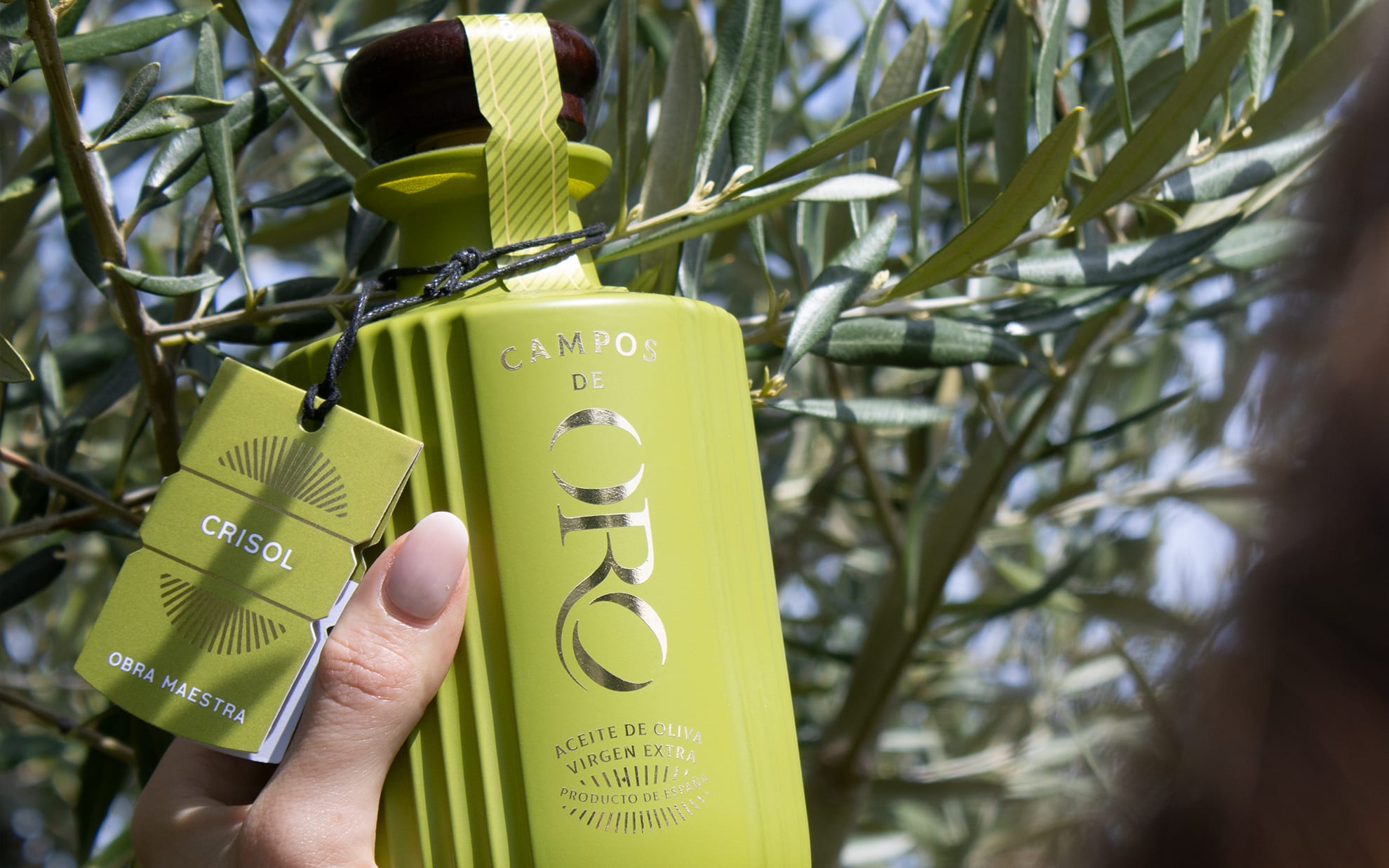 Branding Campos de Oro